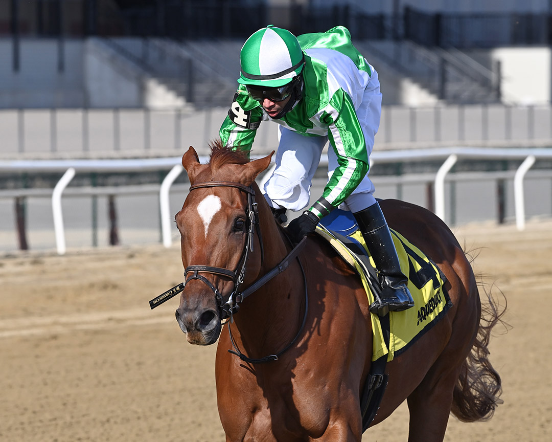 Mr. Buff wins the 2021 Jazil Stakes at Aqueduct Racetrack