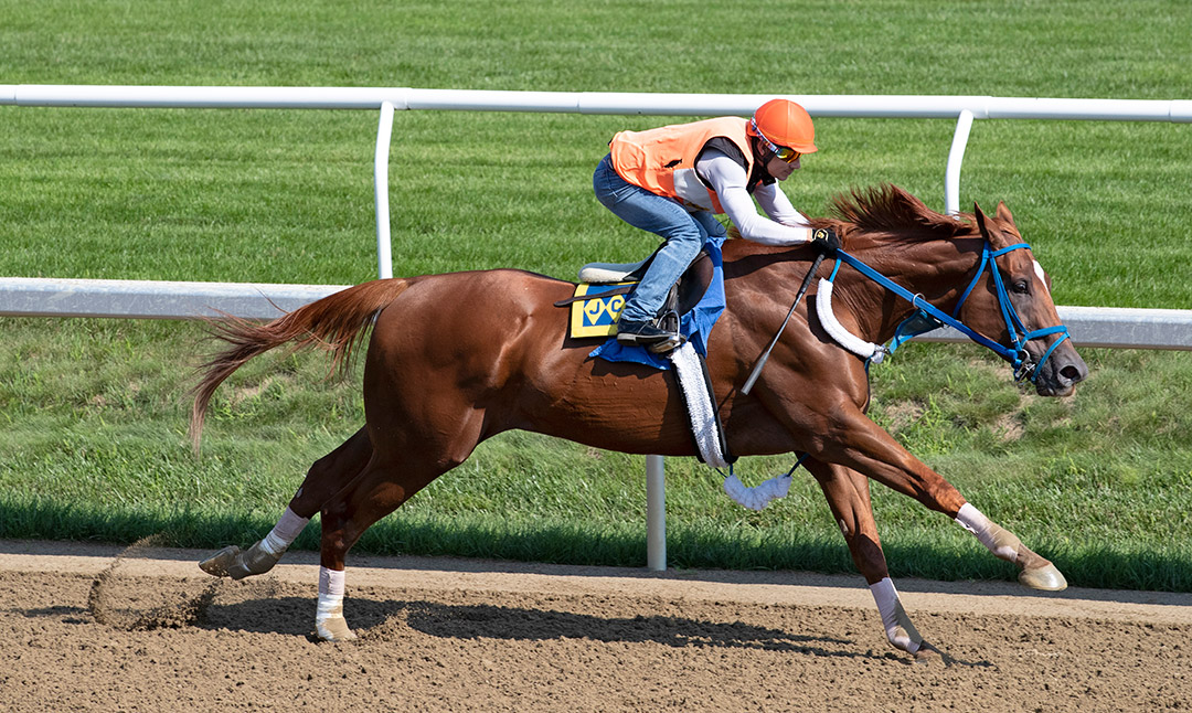 Mr. Buff trains at Saratoga Race Course on July 23