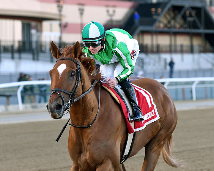 Mr. Buff wins the 2020 Haynesfield Stakes at Aqueduct Racetrack