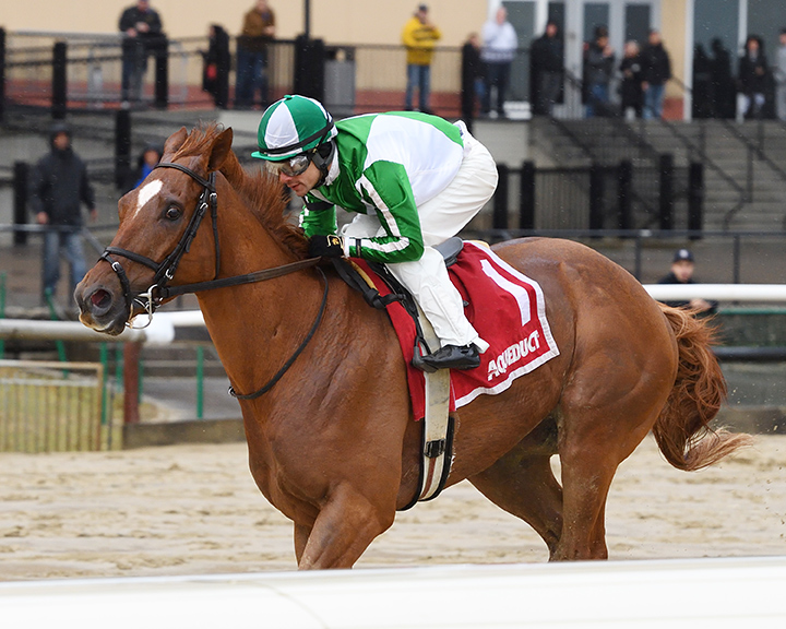 Mr. Buff wins the 2020 Jazil Stakes at Aqueduct Racetrack