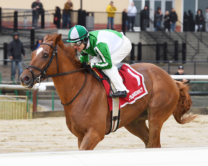 Mr. Buff wins the 2020 Jazil Stakes at Aqueduct Racetrack