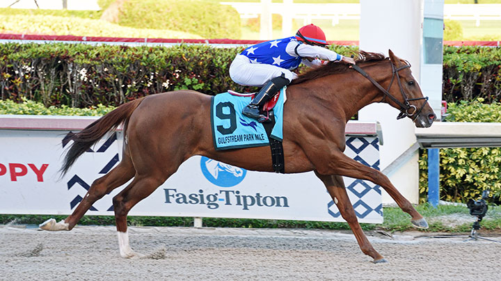 Mr Freeze wins the Gulfstream Park Mile at Gulfstream Park