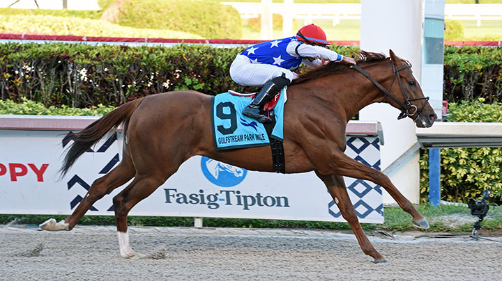 Mr Freeze wins the 2020 Gulfstream Park Mile at Gulfstream Park