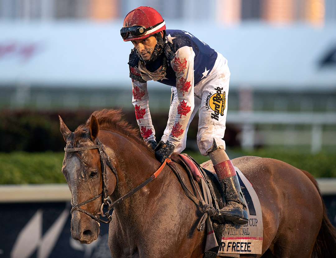 Mr Freeze finishes 11th in the Pegasus World Cup at Gulfstream Park