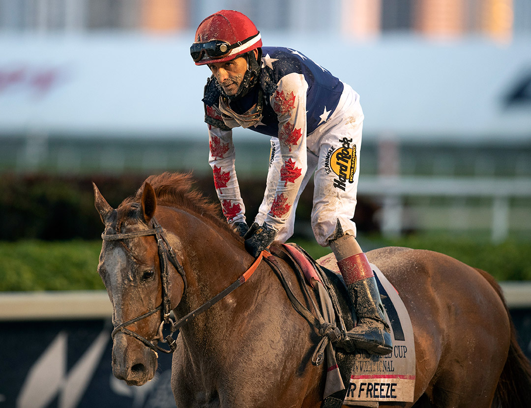 Mr Freeze finishes 11th in the Pegasus World Cup at Gulfstream Park