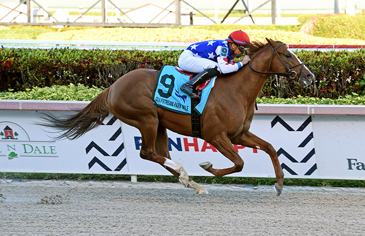 Mr Freeze wins the 2020 Gulfstream Park Mile at Gulfstream Park