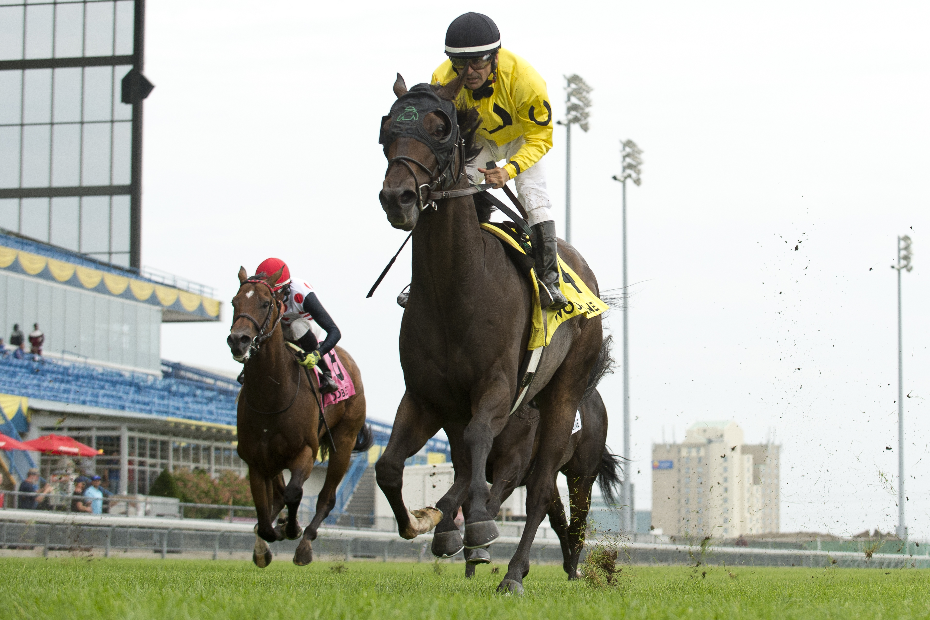 Mr Havercamp wins the 2018 Play the King Stakes