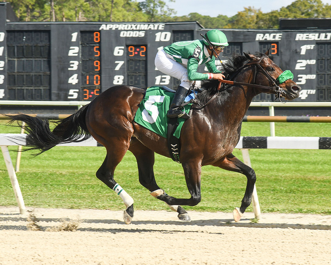 Mr. Jagermeister wins a Jan. 9 allowance at Tampa Bay Downs