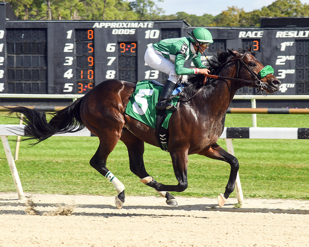 Mr. Jagermeister wins a Jan. 9 claiming race at Tampa Bay Downs