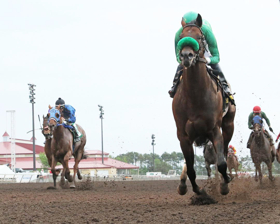 Mr. Jagermeister wins the 2021 10,000 Lakes Stakes at Canterbury Park