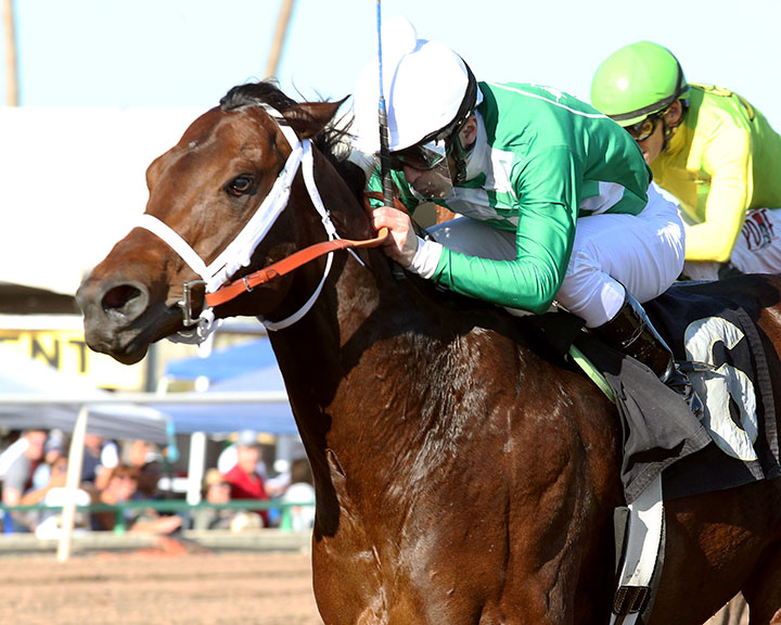 Mr. Jagermeister wins the 2020 Phoenix Gold Cup at Turf Paradise