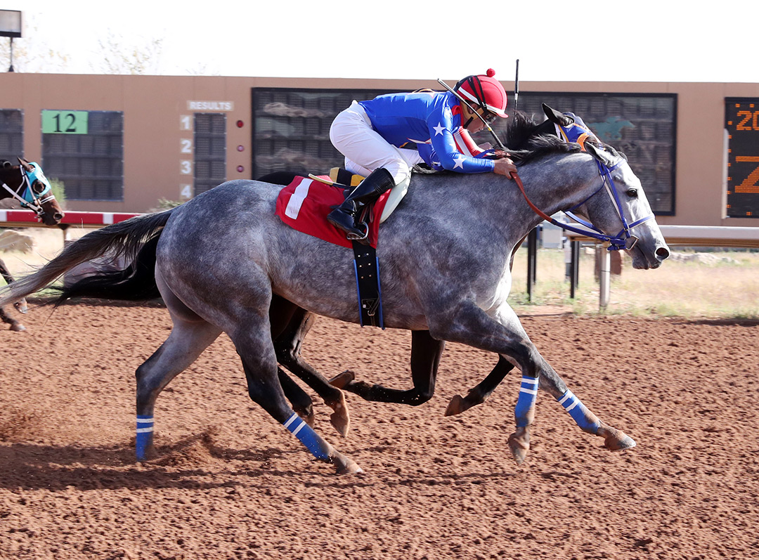 Mr Money Bags (1) wins the 2021 Zia Park Sprint at Zia Park