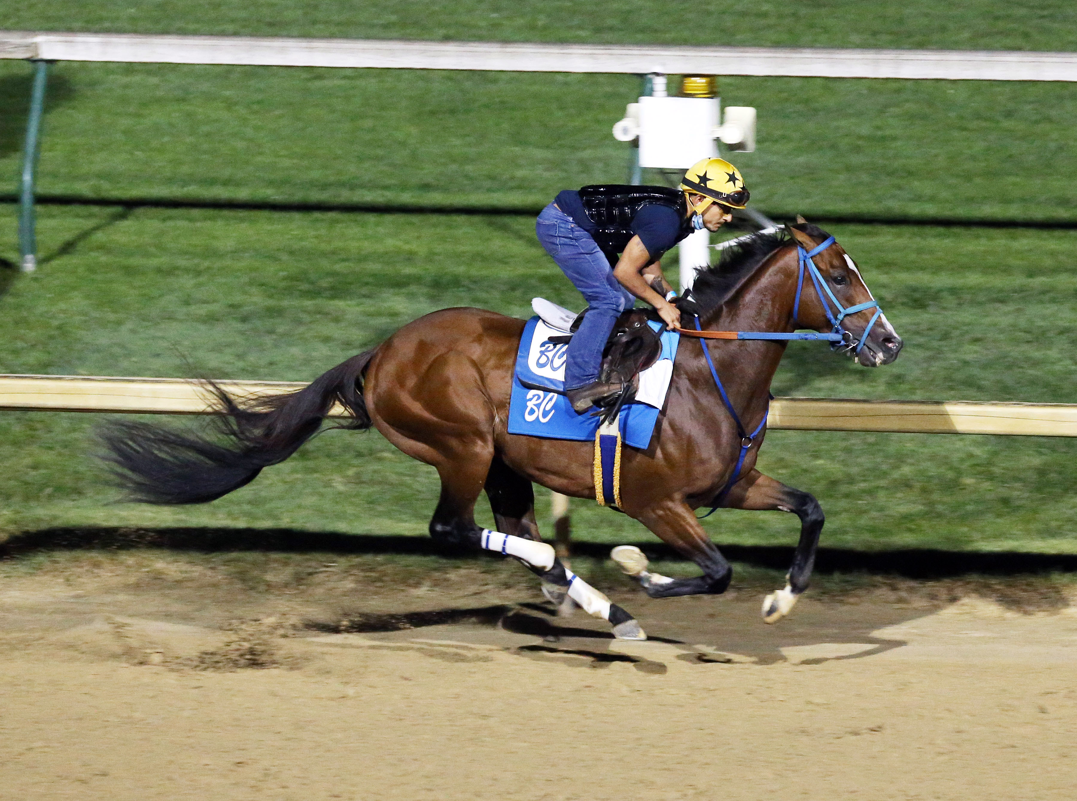 Mr. Money trains at Churchill Downs on Aug. 12