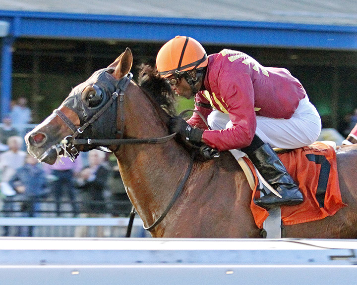 Mr Ritz wins the 2019 Presque Isle Mile at Presque Isle Downs