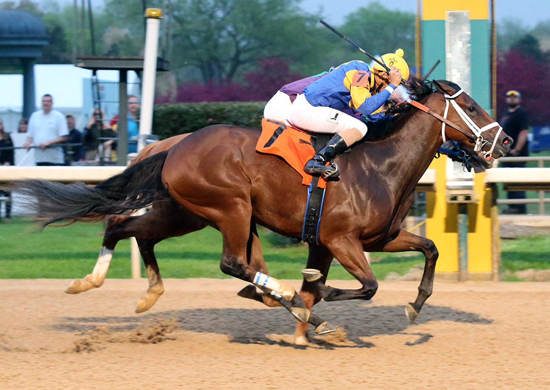Mr. Wireless wins a March 27 maiden race at Oaklawn Park