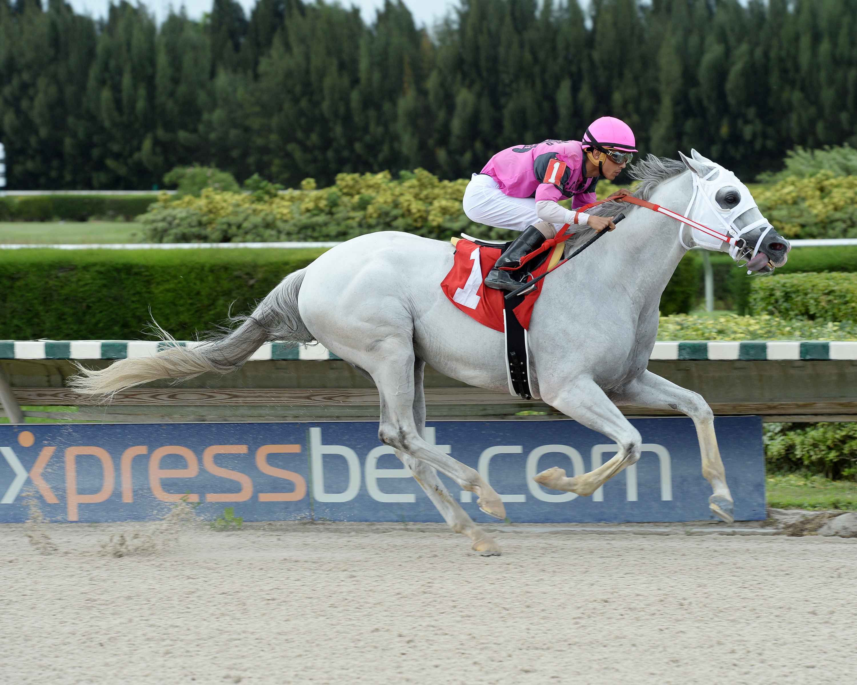 Mr. Baker wins an optional claiming race on Oct. 12, 2016