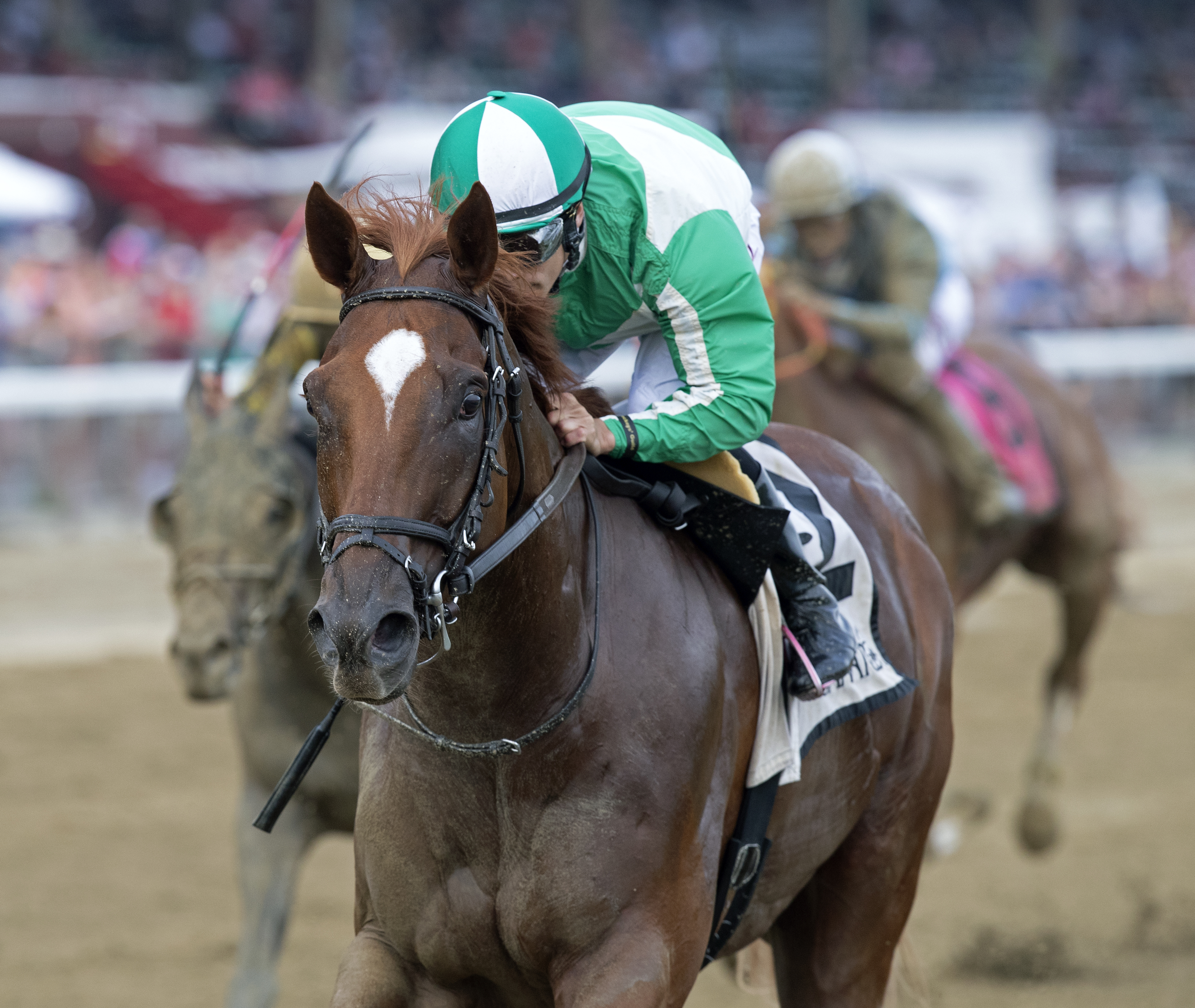 Mr. Buff wins the Evan Shipman under Junior Alvarado at Saratoga on Aug. 7, 2019.BL