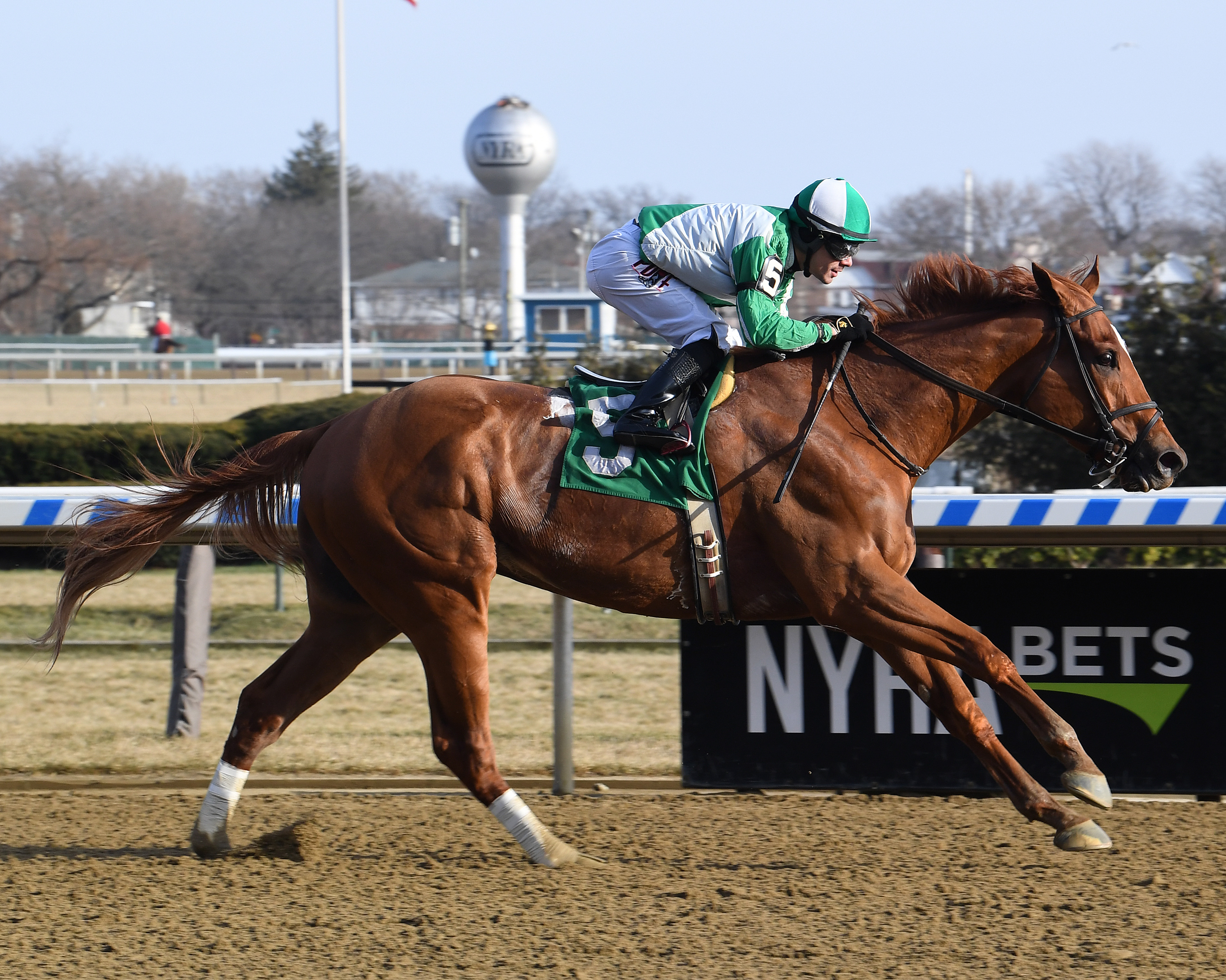 Mr. Buff wins the Alex M. Robb Stakes on Dec. 28 2019