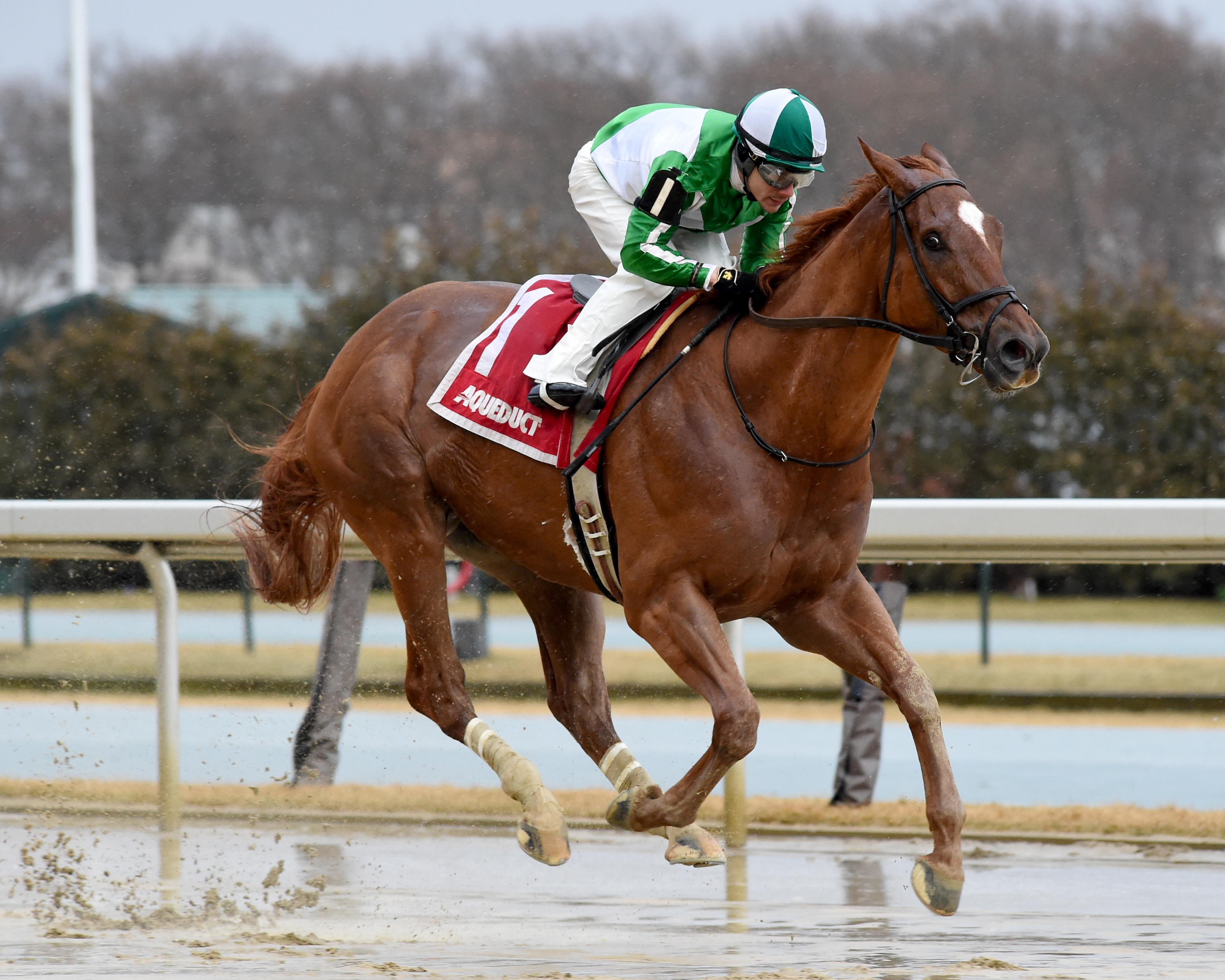 Mr. Buff wins the Jazil. Elsa Lorieul 1-25-20