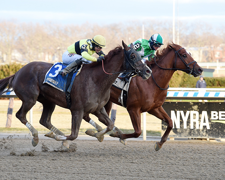 Twisted Tom finishes second in the 2018 Alex M. Robb