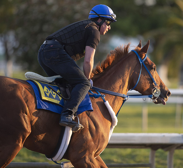 Mr. Buff trains at Fair Grounds on March 21