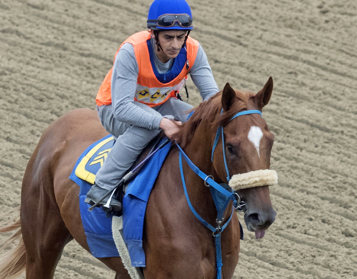 Mr. Buff trains at Saratoga on Sept. 5