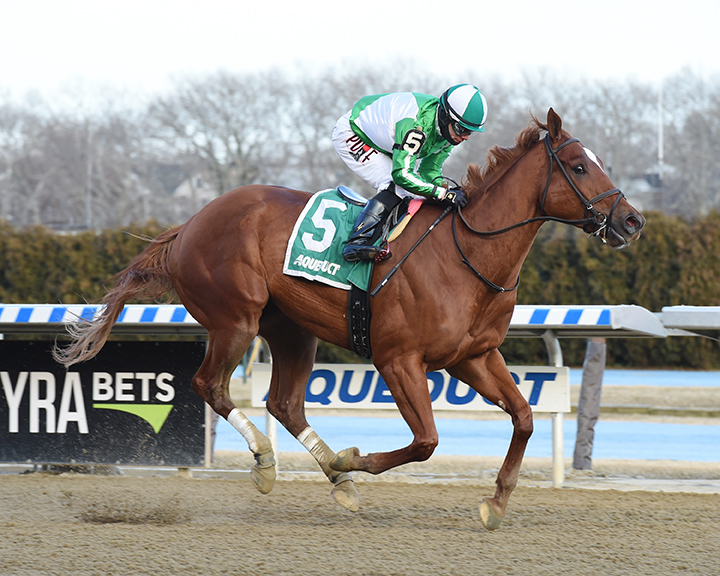 Mr. Buff wins the 2019 Jazil Stakes