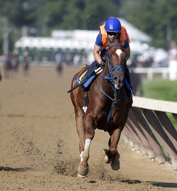 Mr. Buff trains at Saratoga Race Course on July 28