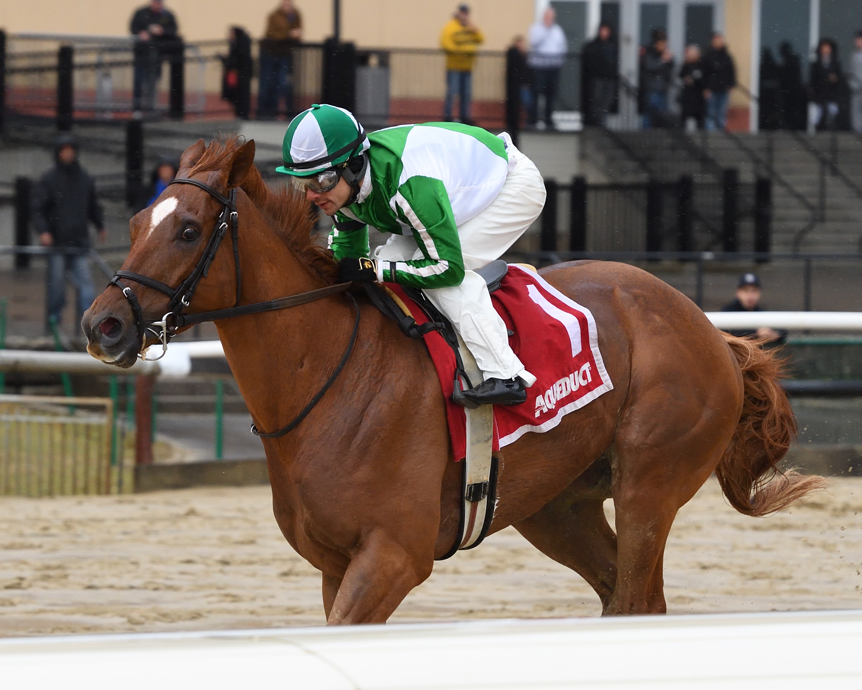 Mr. Buff wins the 2020 Jazil Stakes