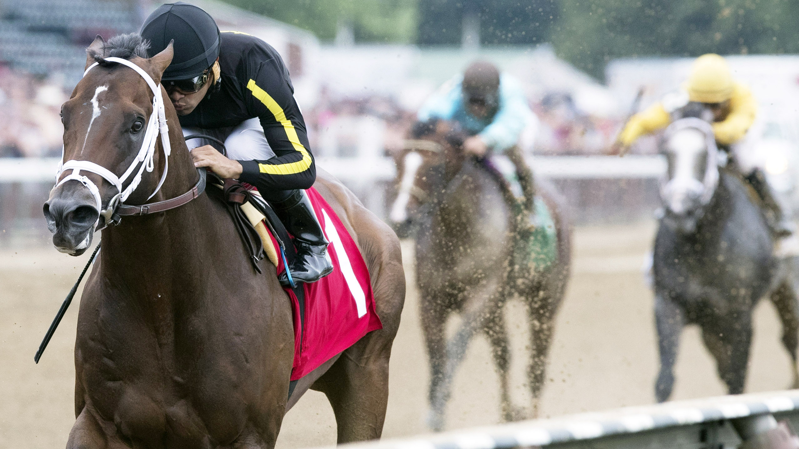 Mr. Crow wins a July 22, 2017 maiden race