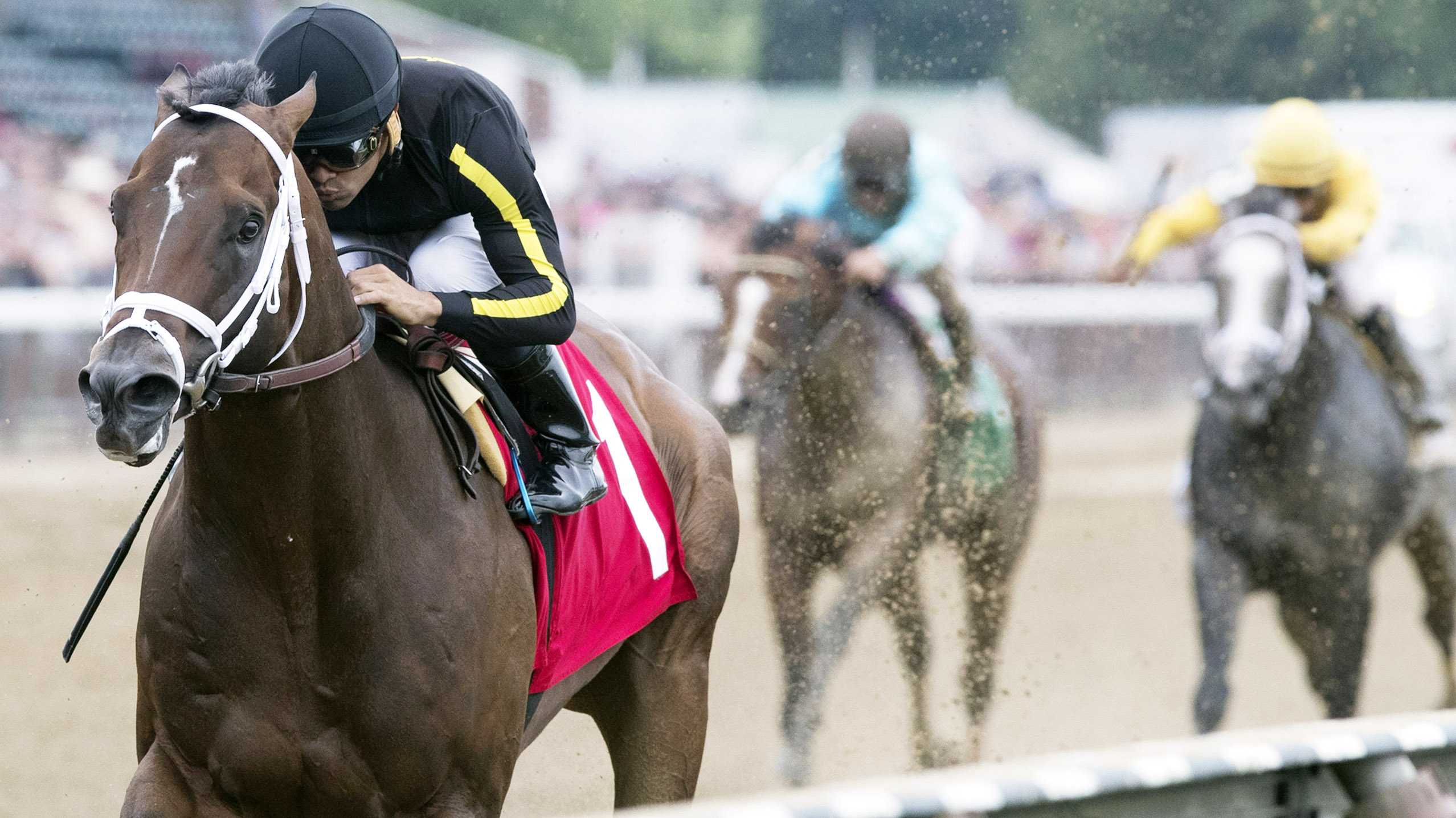 Mr. Crow wins a July 22, 2017 maiden race