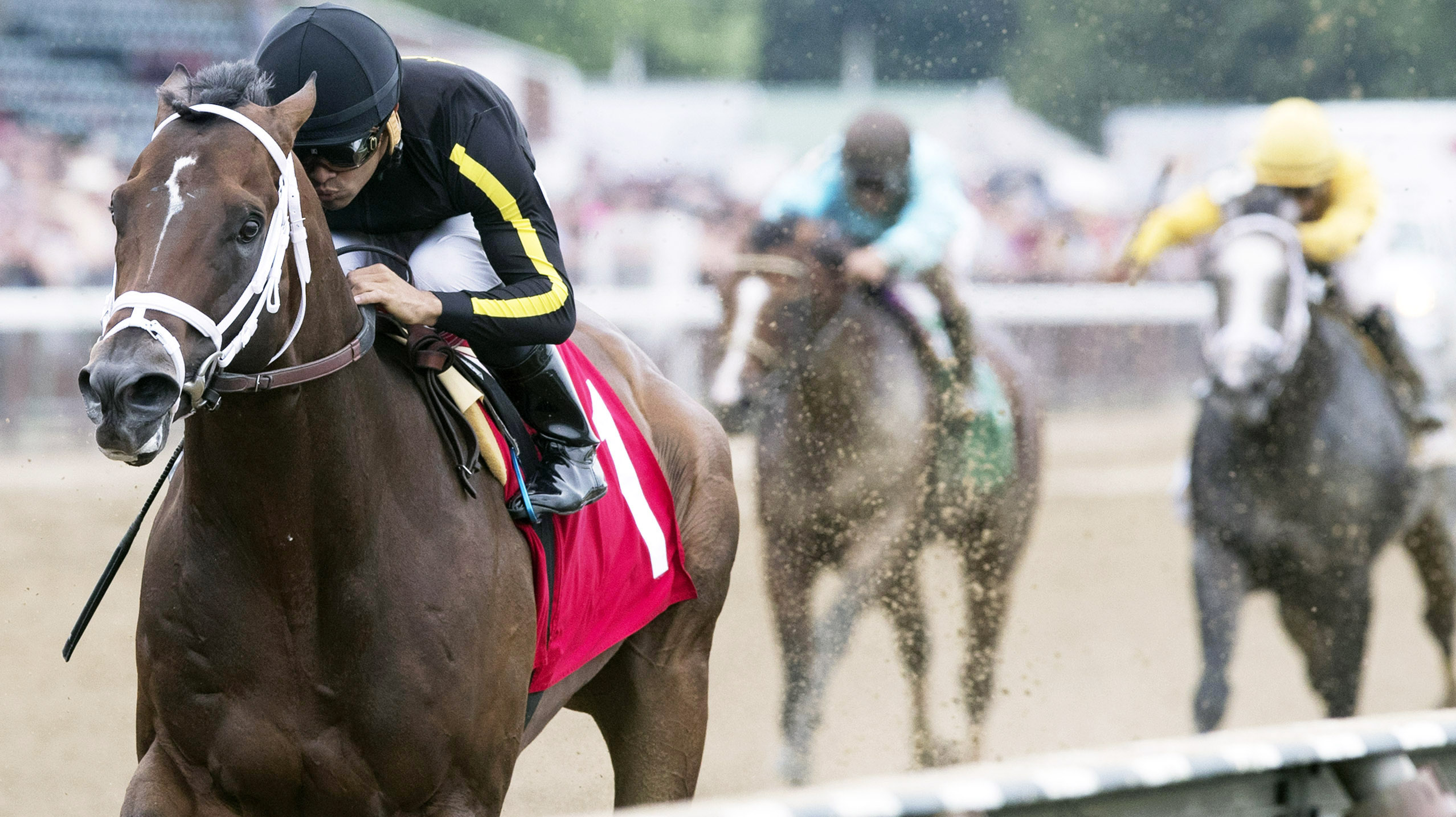 Mr. Crow wins a July 22 maiden race