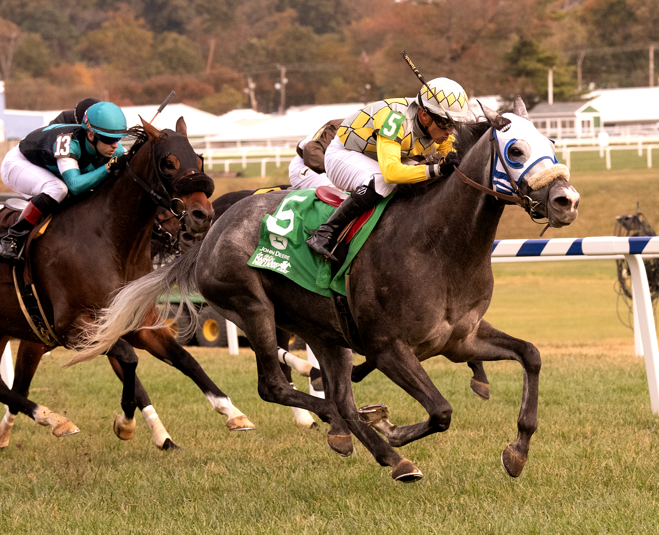 Mr. d'Angelo/Maryland Million Turf