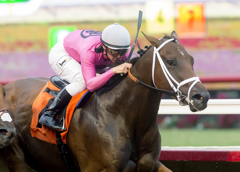 Mr. Hinx wins the 2017 Real Good Deal Stakes