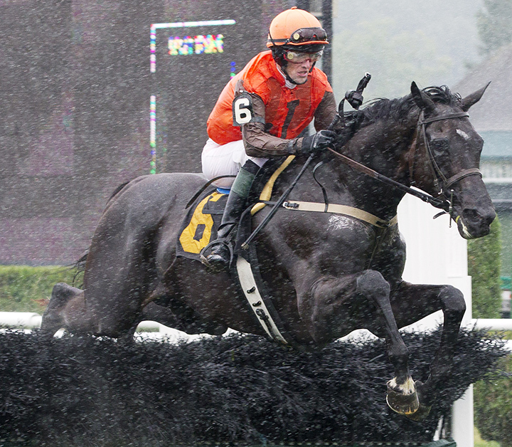 Mr. Hot Stuff wins the 2013 A. P. Smithwick Memorial Steeplechase Stakes at Saratoga Race Course