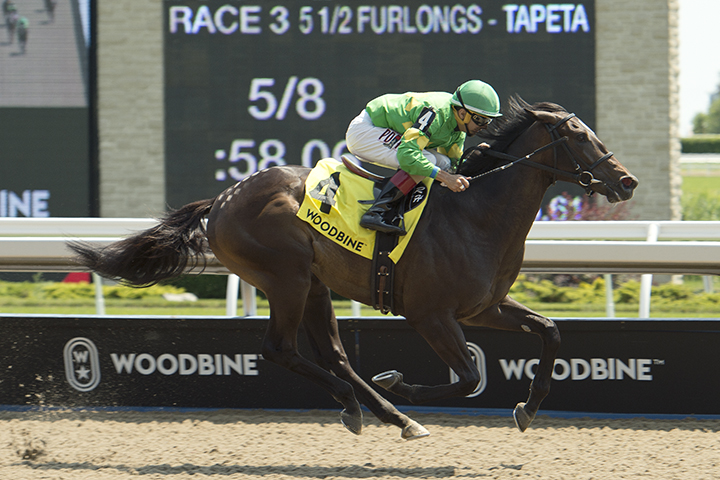 Mr. Hustle wins the Victoria Stakes at Woodbine Racetrack