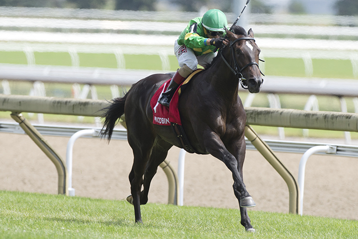 Mr. Hustle wins the 2019 Soaring Free Stakes at Woodbine