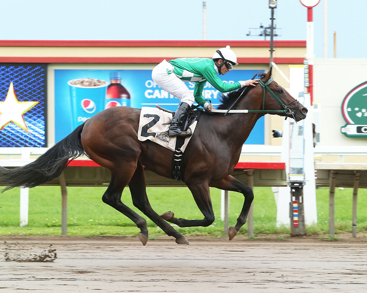 Mr. Jagermeister wins the 2018 Victor S. Myers Stakes