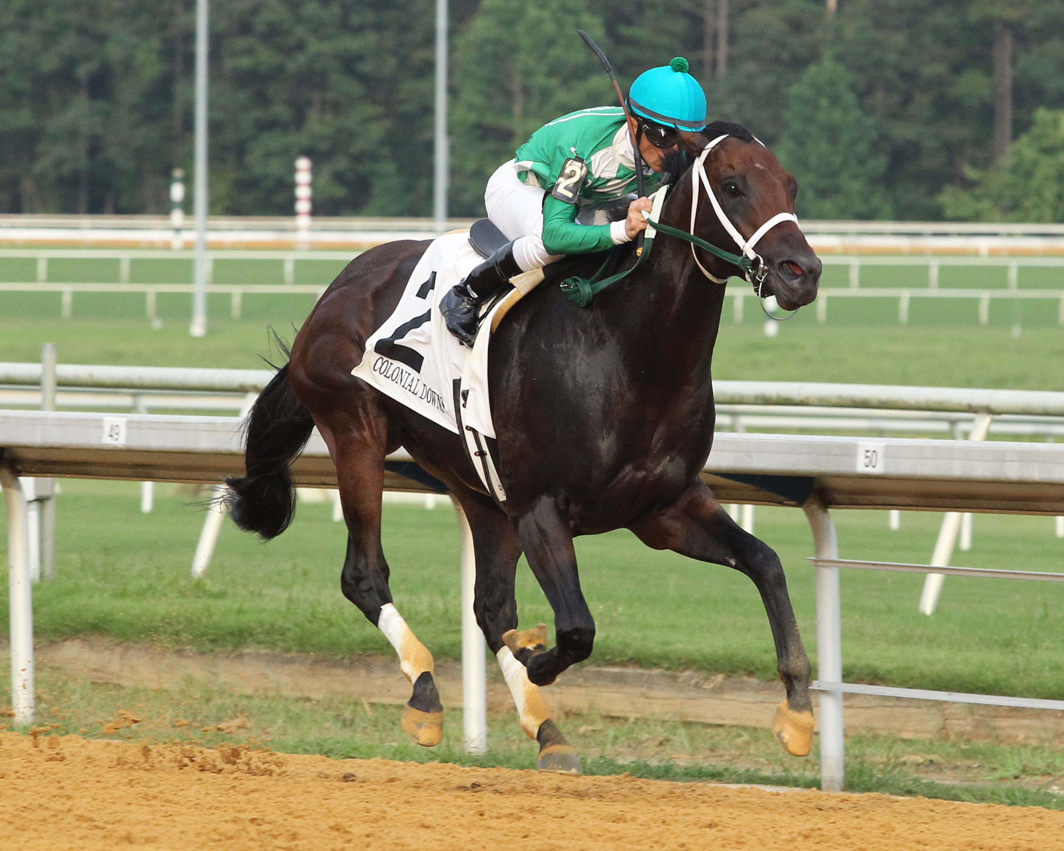 Mr. Jagermeister wins the 2019 Chesapeake Stakes