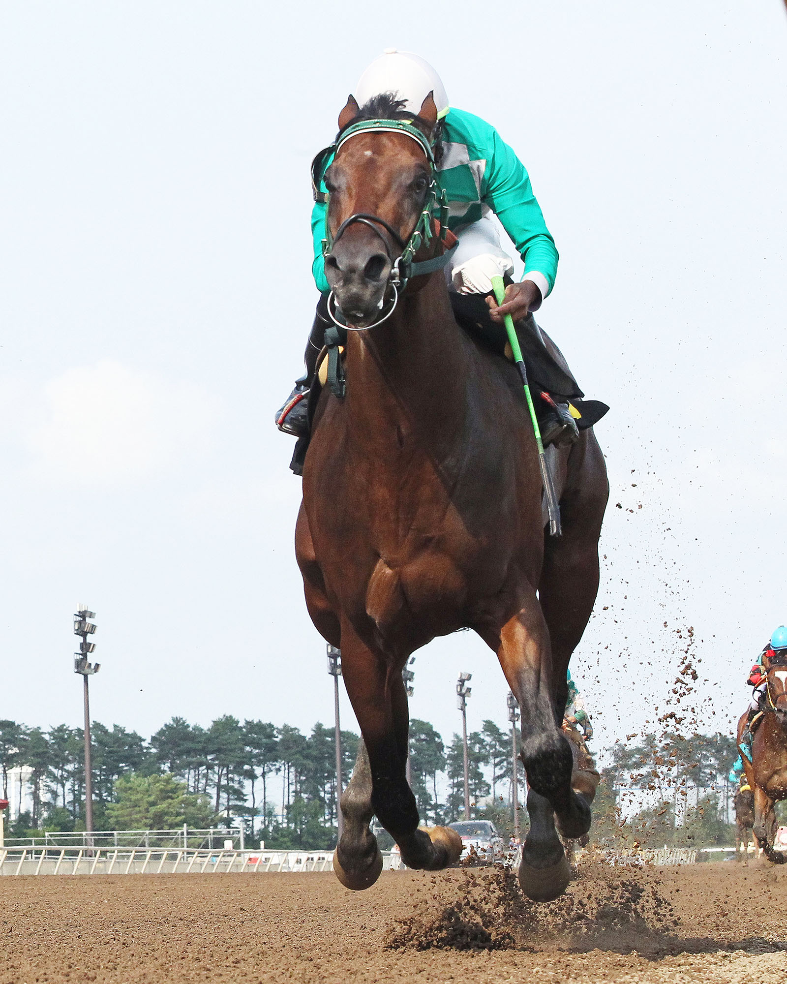Mr. Jagermeister wins the 2017 Northern Lights Futurity