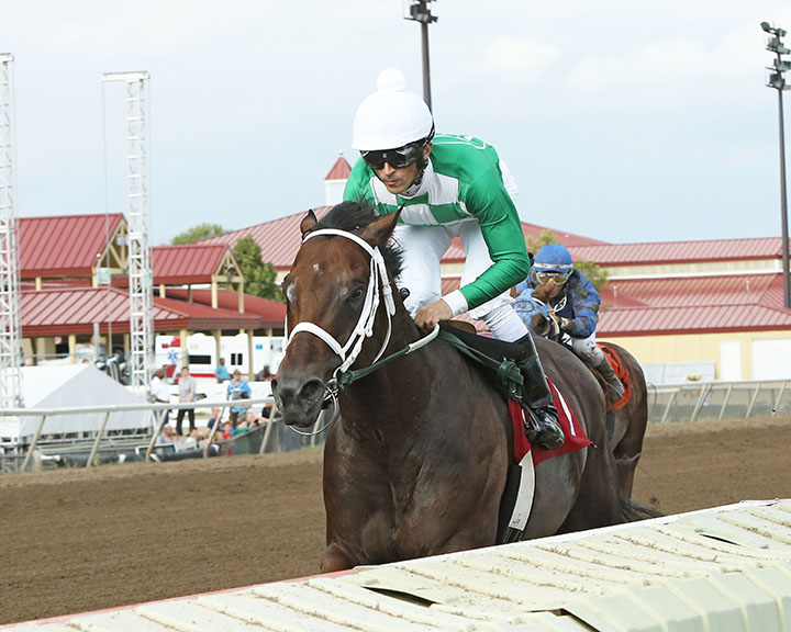 Mr. Jagermeister wins the 2019 Minnesota Sprint Championship at Canterbury Park