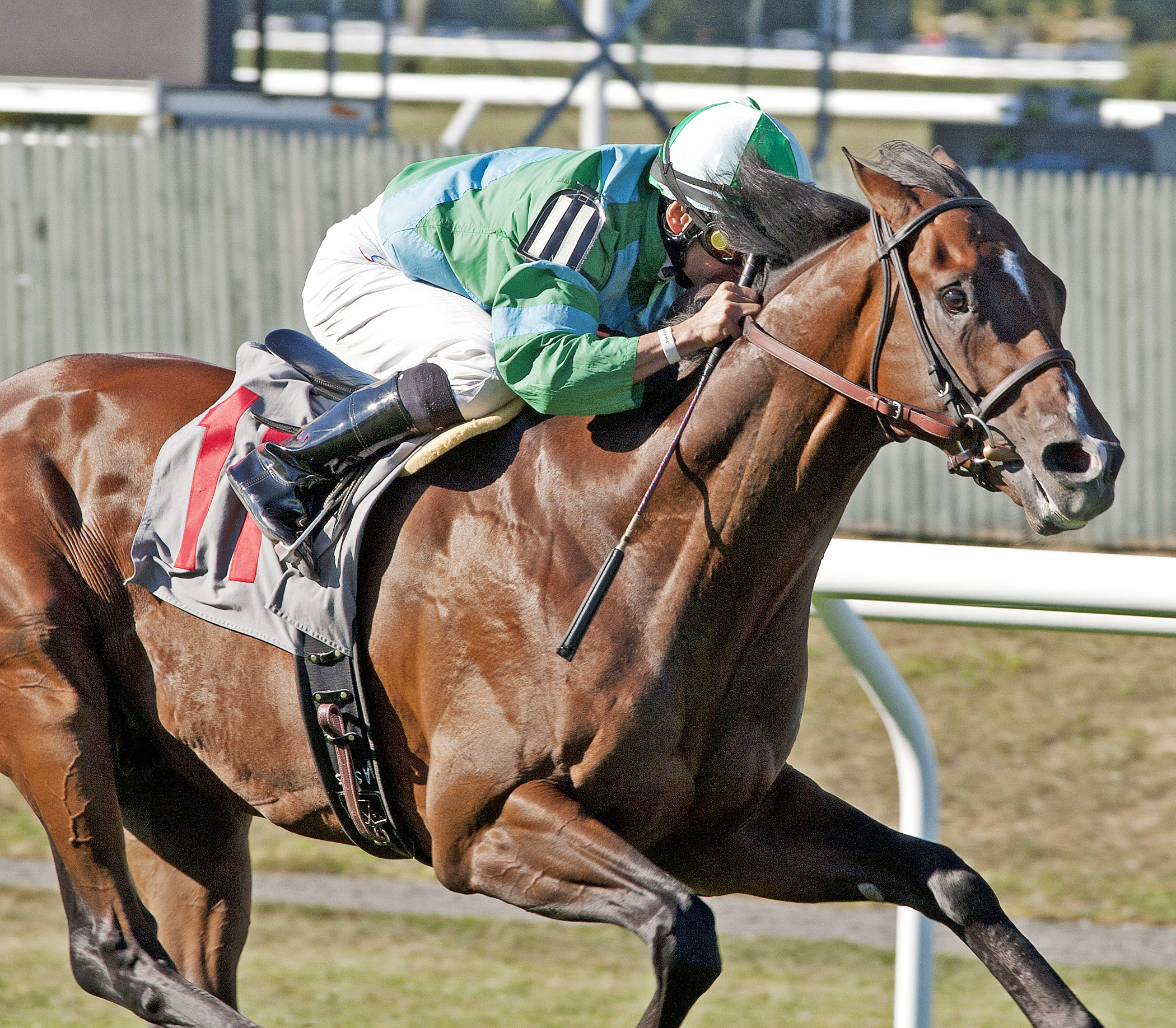 Mr. Jenney wins a 2013 maiden race
