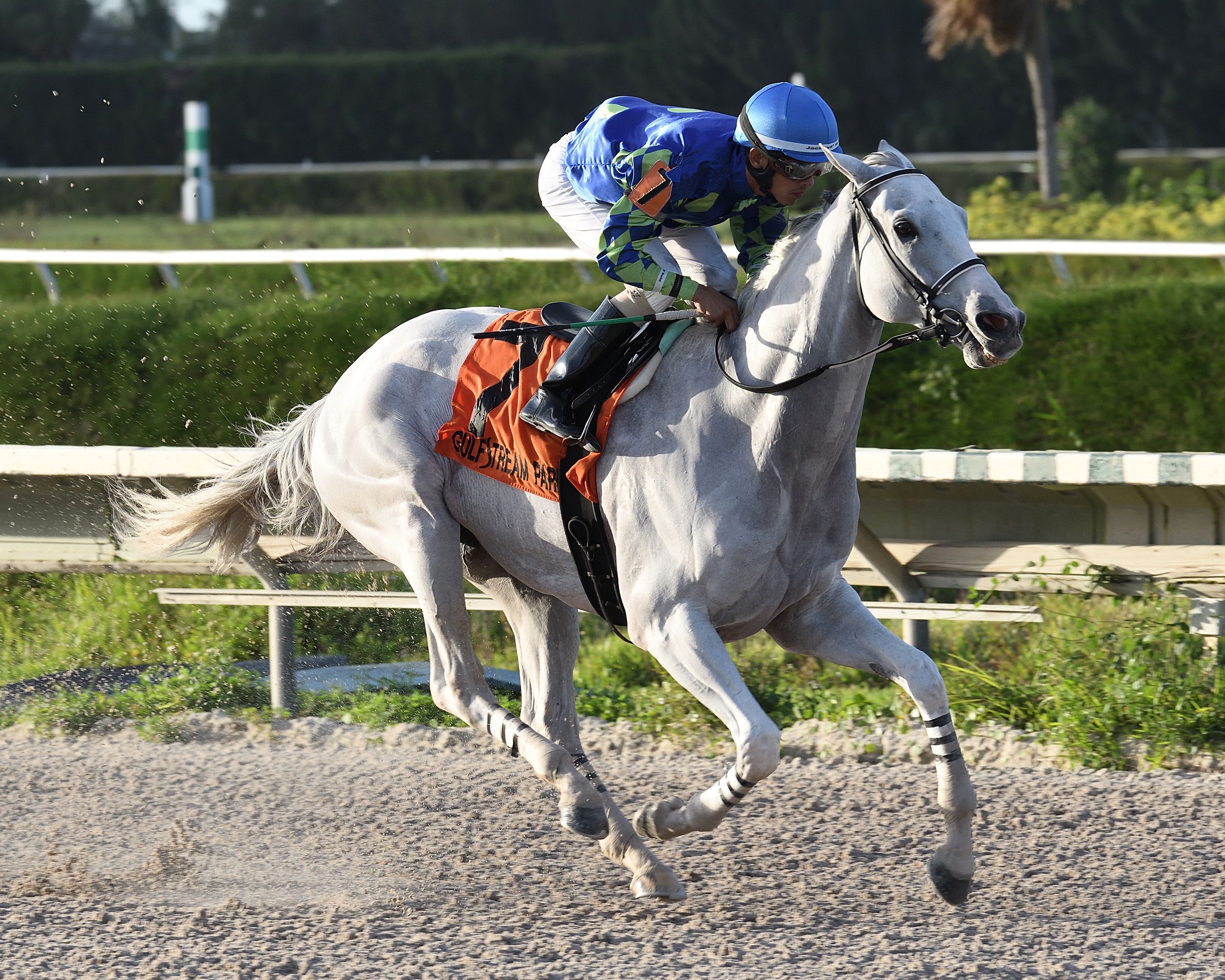 Mr. Jordan wins the 2017 Millions Classic Preview Stakes