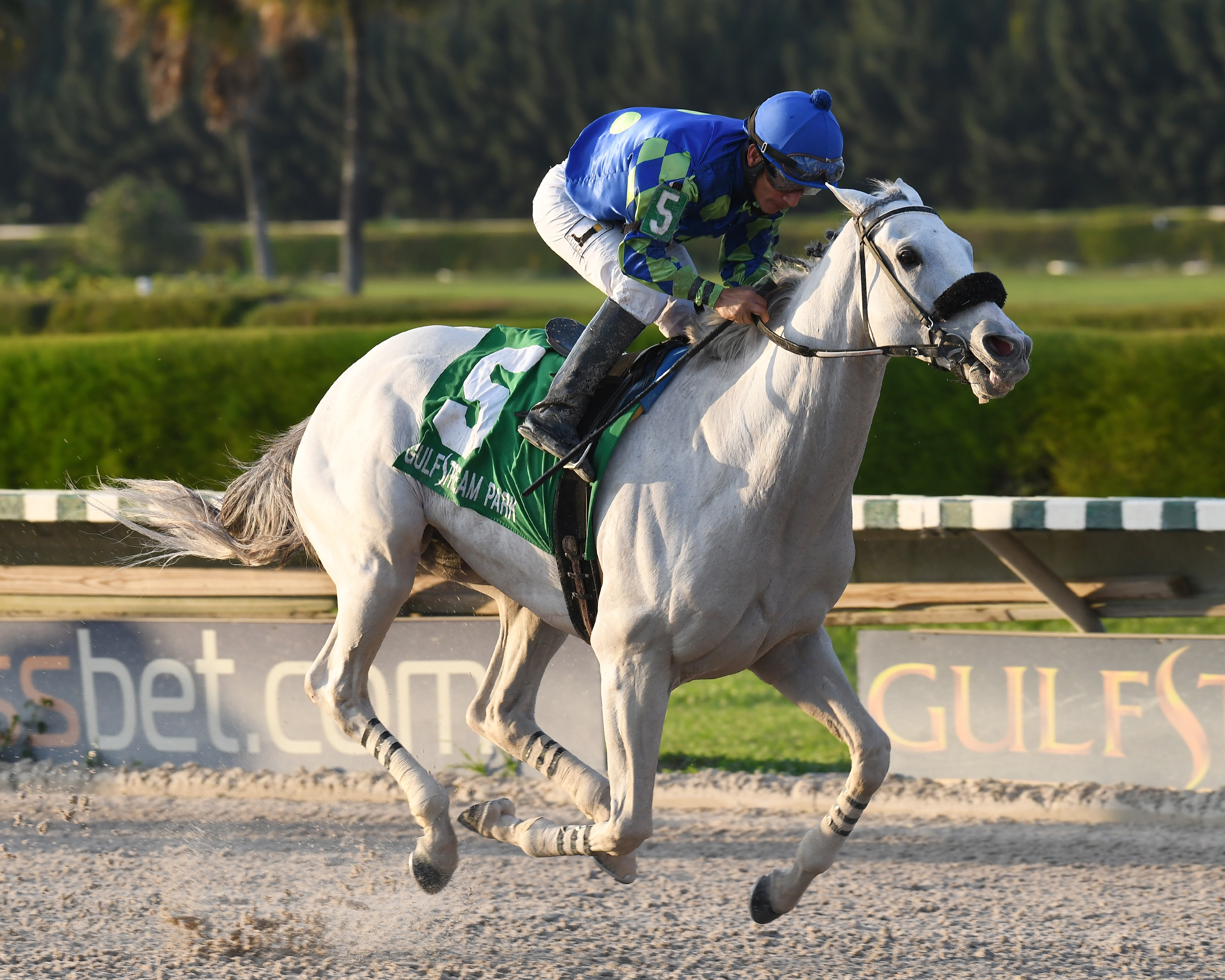 Mr. Jordan wins the 2016 Millions Classic Preview Stakes