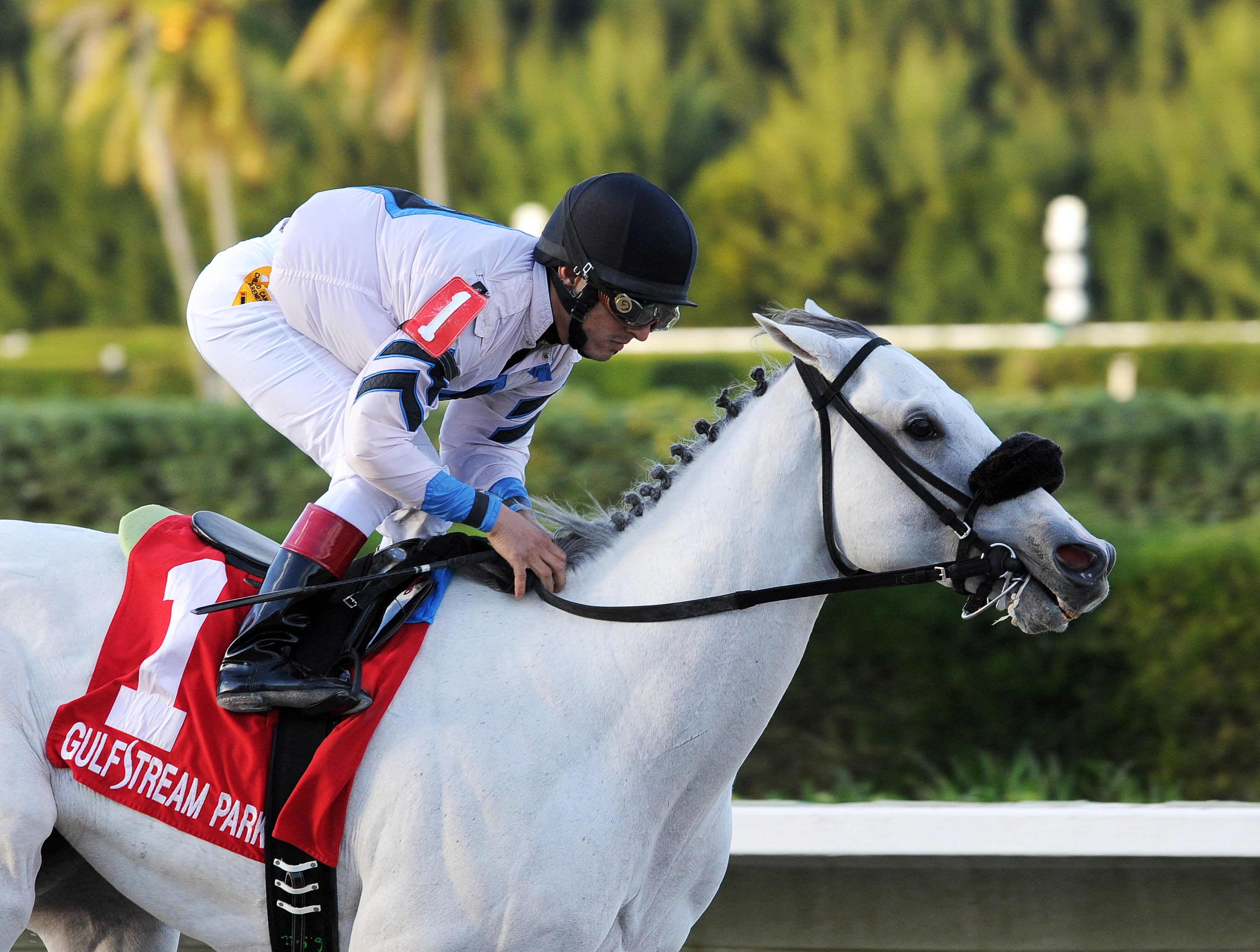Mr. Jordan wins the Smooth Air Stakes
