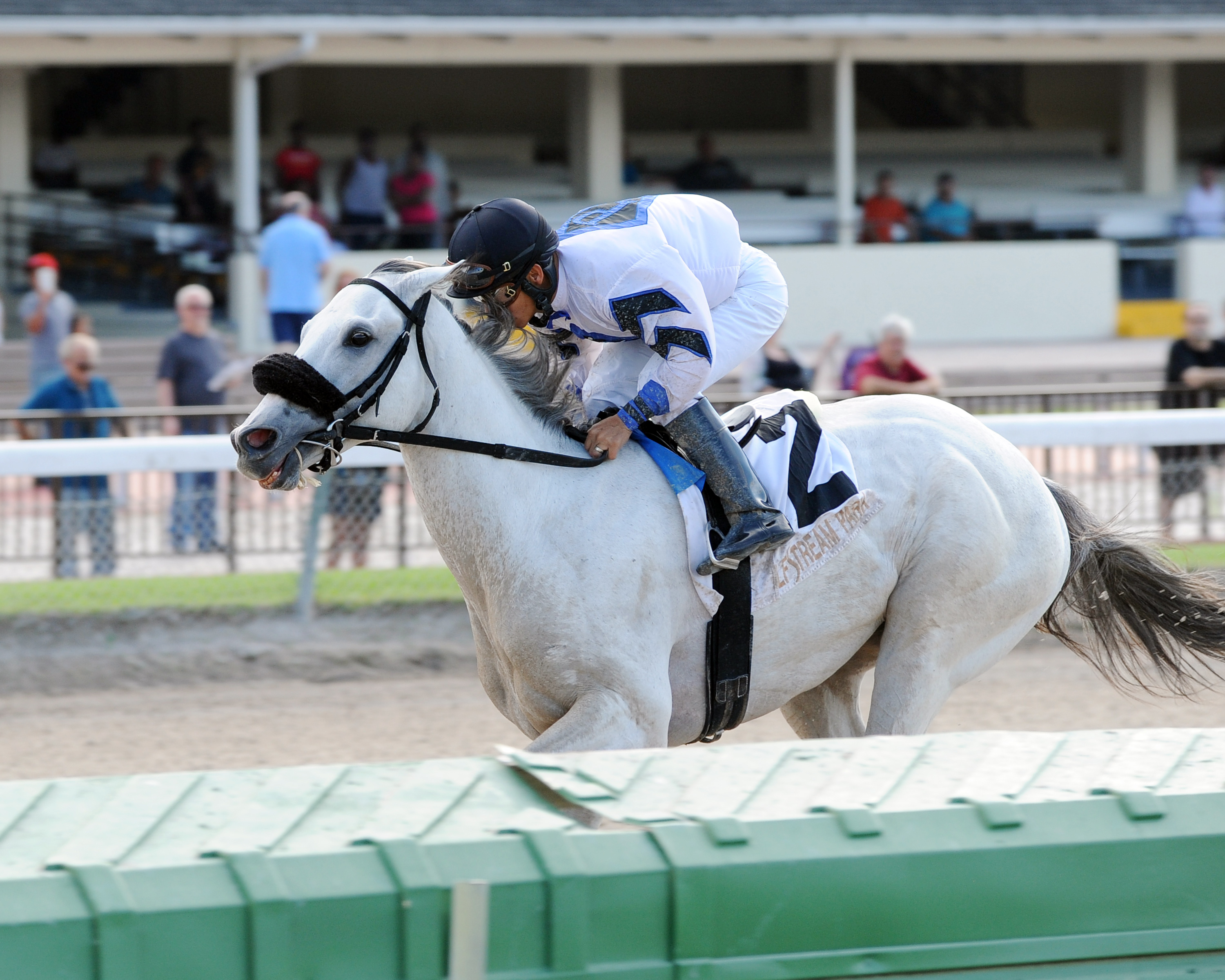 Mr. Jordan wins the Juvenile Sprint Stakes