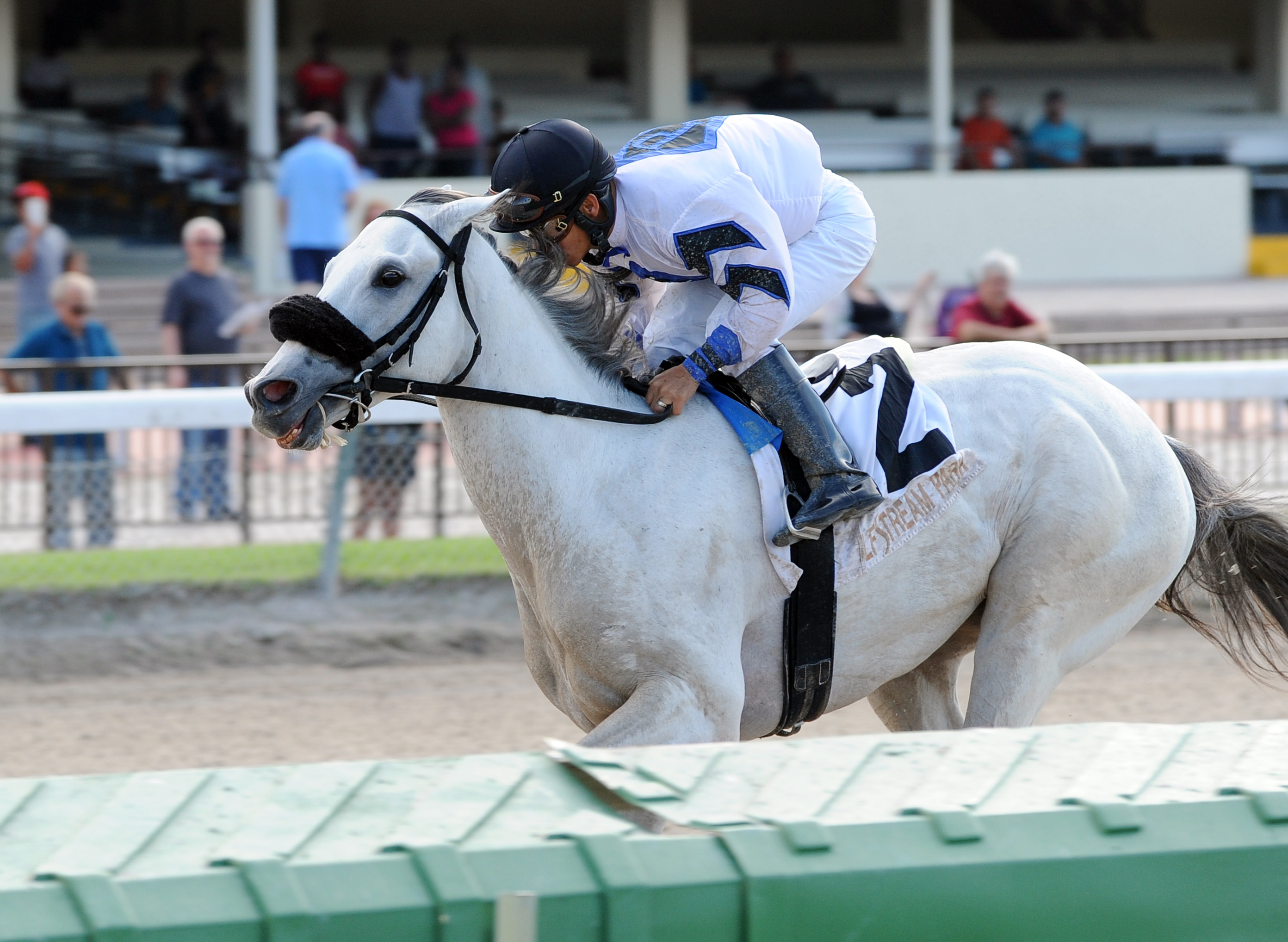 Mr. Jordan wins the Juvenile Sprint Stakes