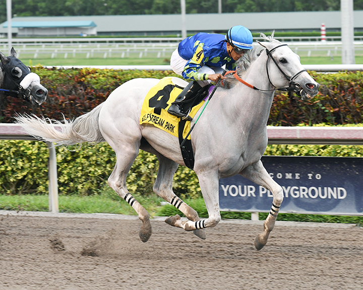 Mr. Jordan wins the 2018 Big Drama Stakes