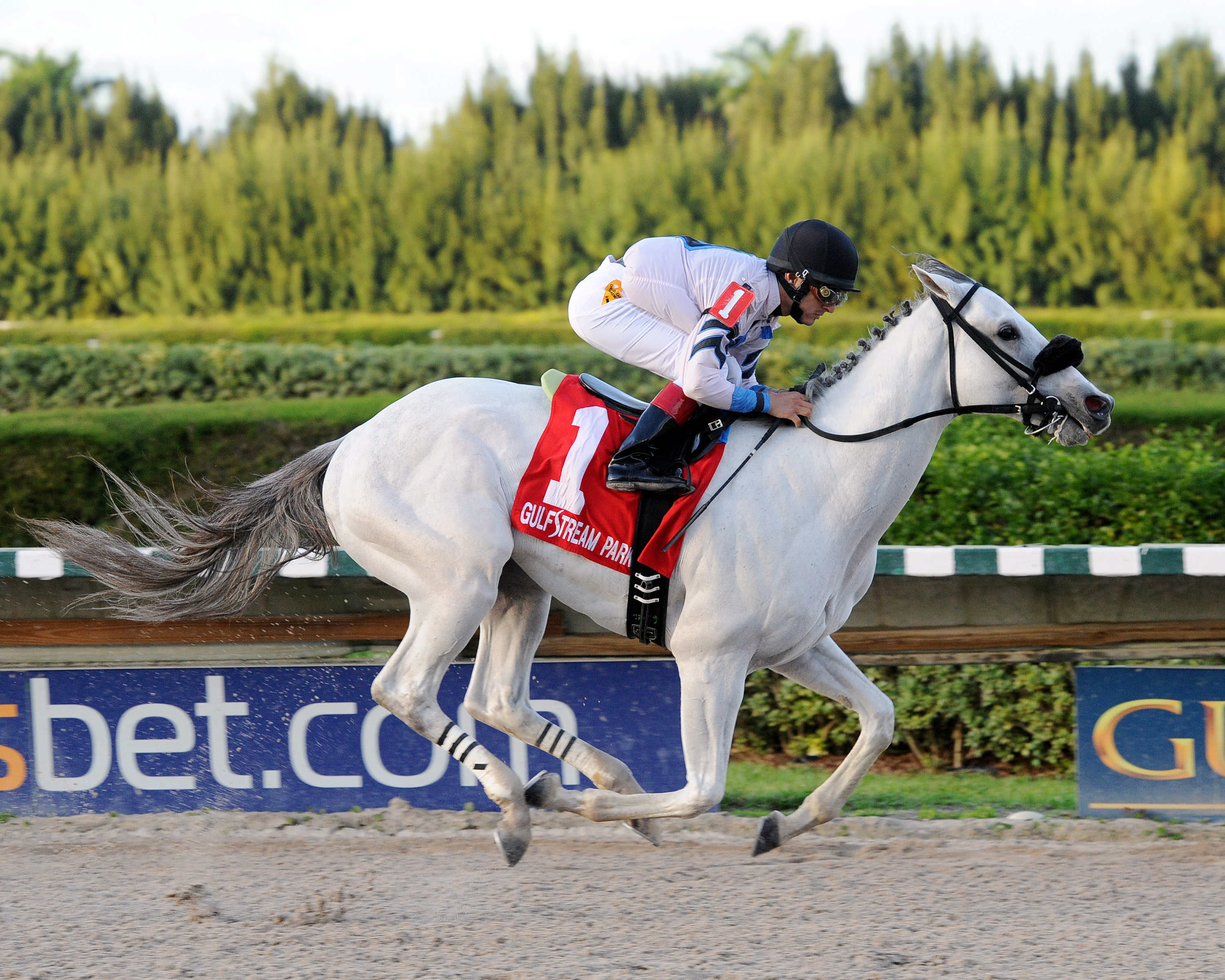 Mr. Jordan wins the Smooth Air Stakes