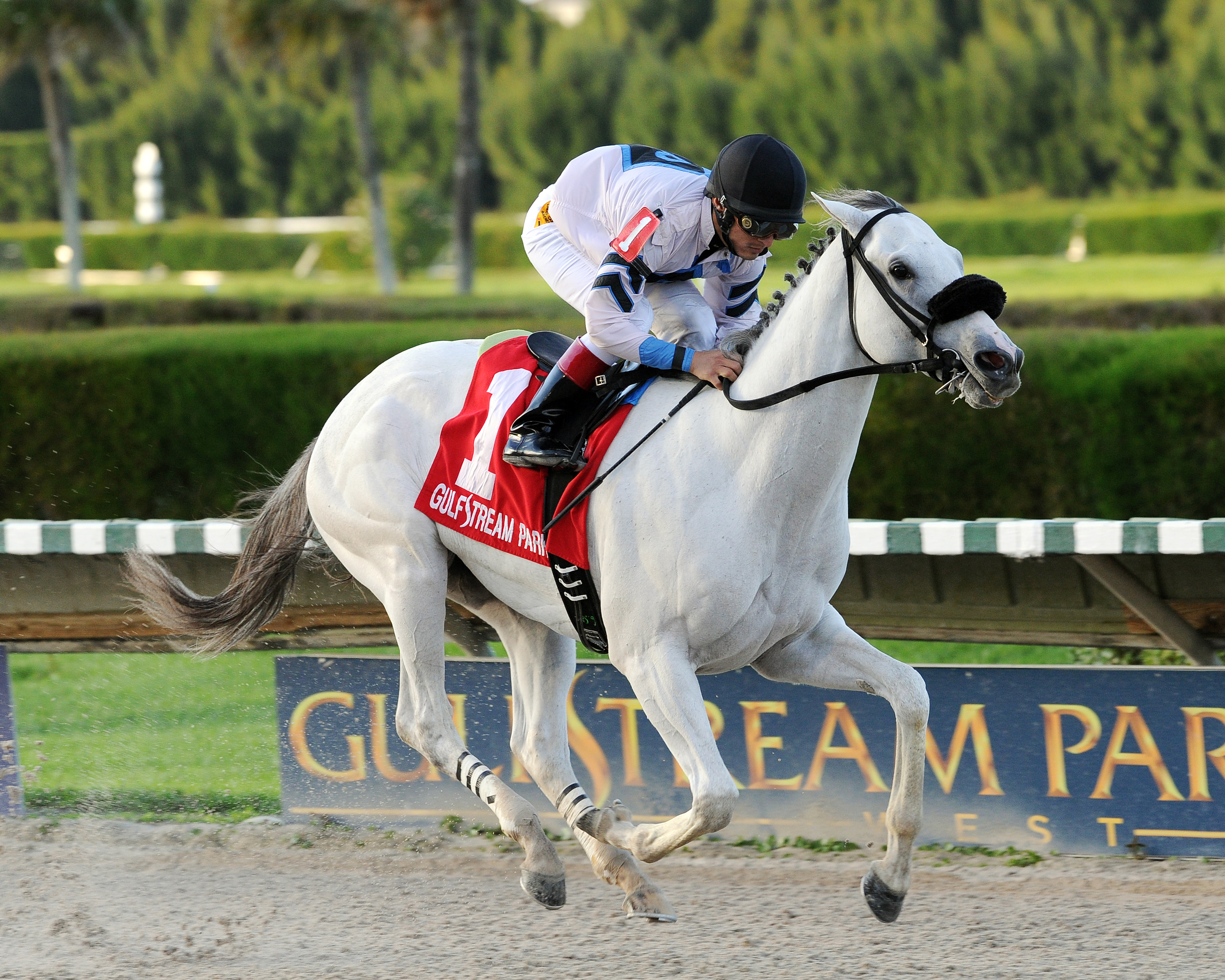 Mr. Jordan wins the Smooth Air Stakes